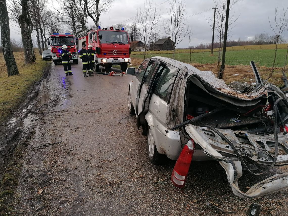 Silny wiatr. Zniszczone auto, powalone drzewa [ZDJĘCIA]