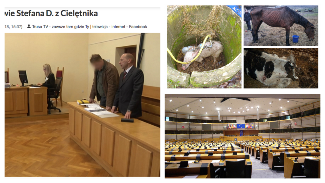 Stefan D., właściciel „farmy grozy” poskarżył się do Parlamentu Europejskiego