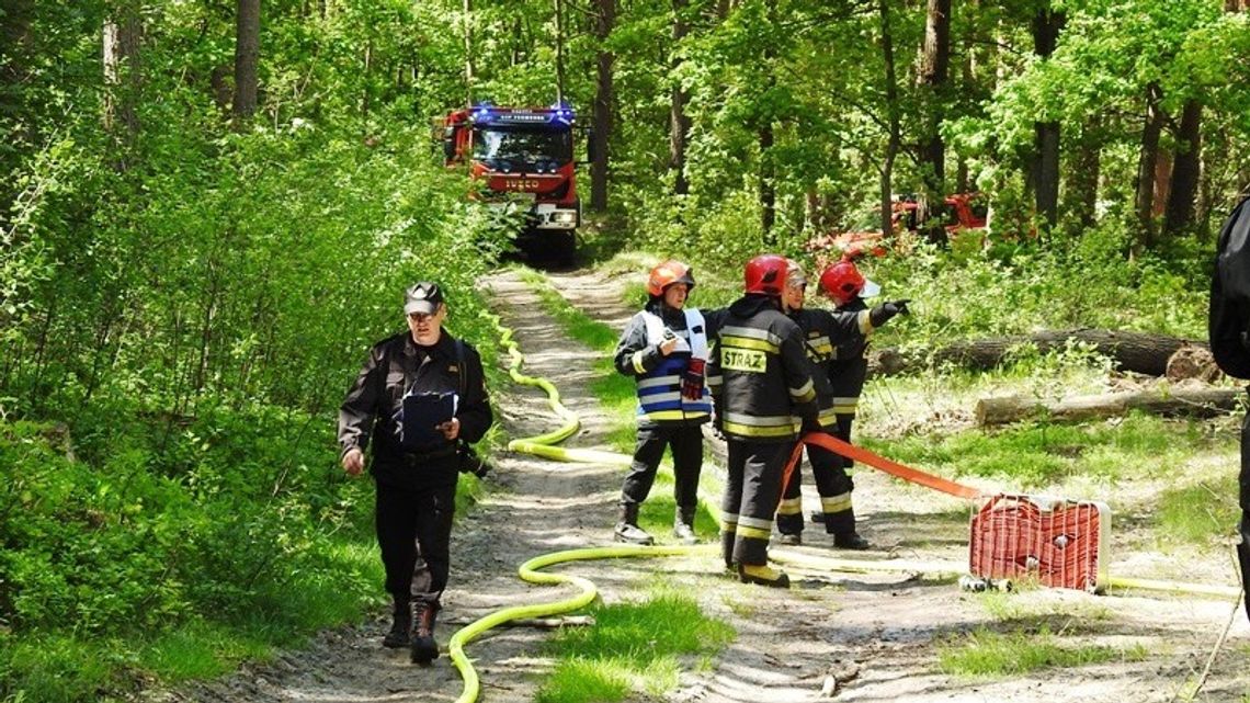Strażacy w gotowości – gdyby płonął las