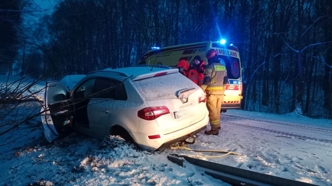 Uderzyła w leżące na drodze drzewo