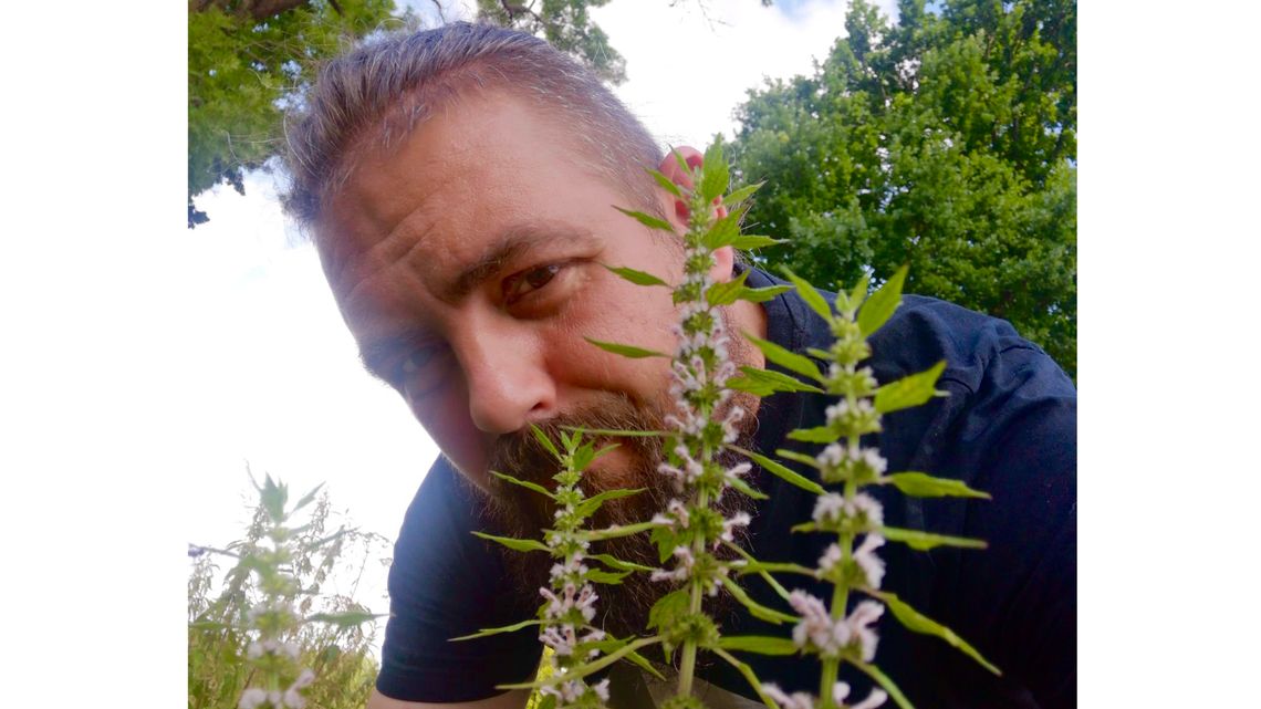 Zielona Biblioteka znów zaprasza! O ziołach, mitach i naturze