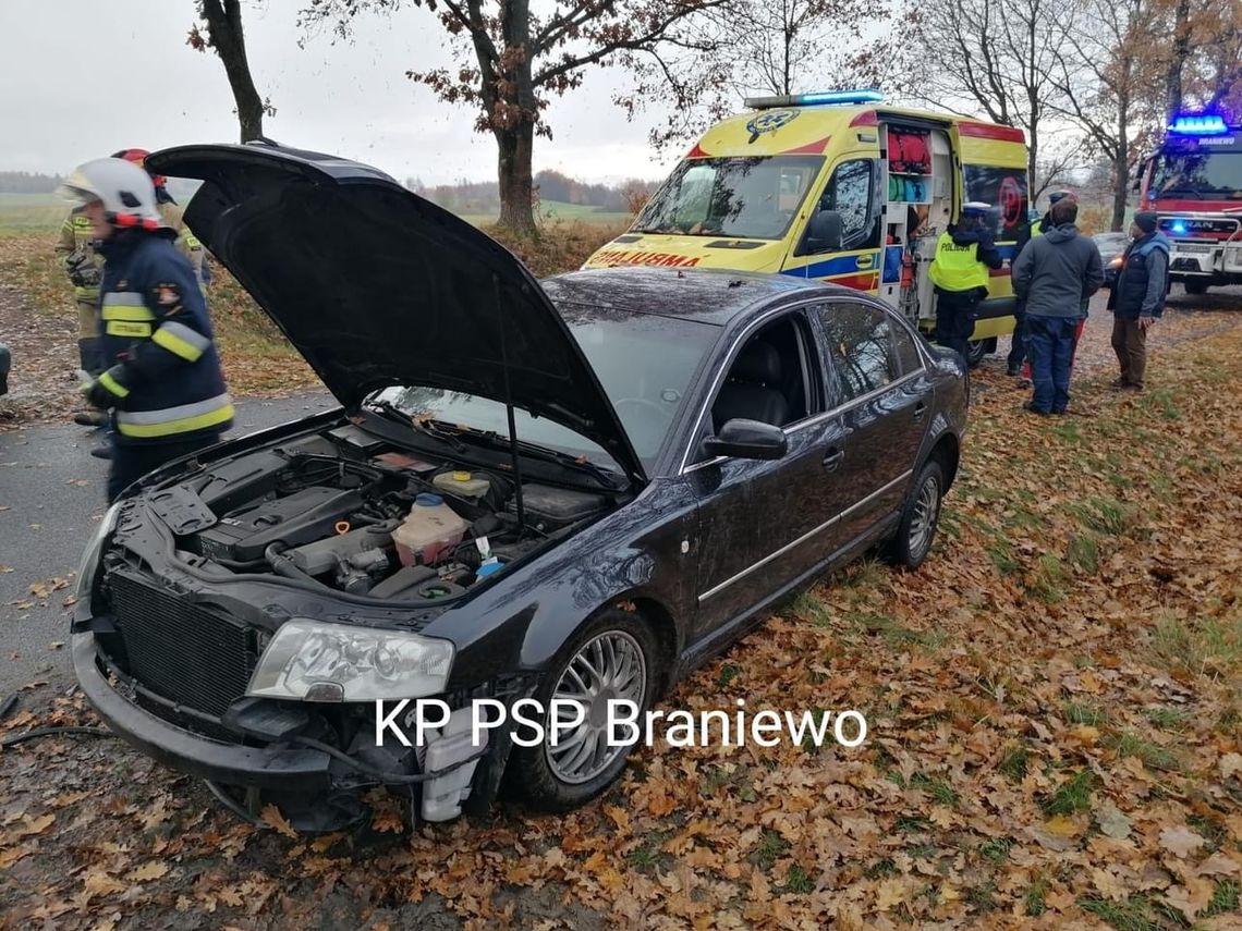 Zjechał na pobocze i uderzył w drzewo