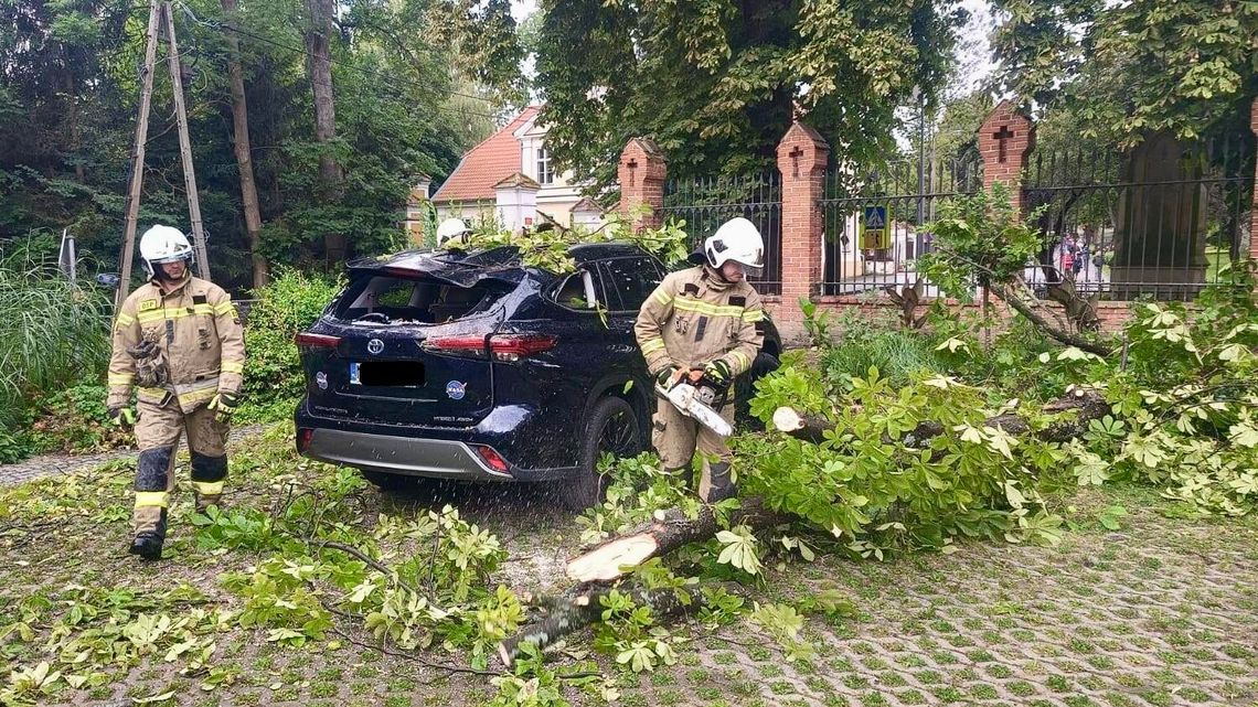 Złamany konar uszkodził auta. Na szczęście nie było w nich ludzi