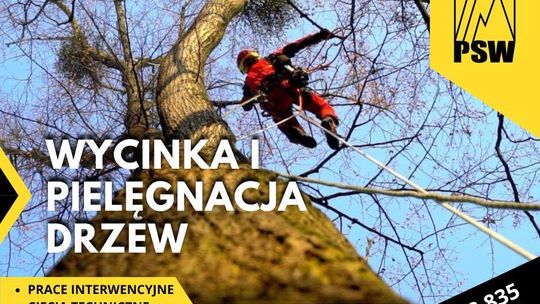 Wycinka drzew , prace alpinistyczne