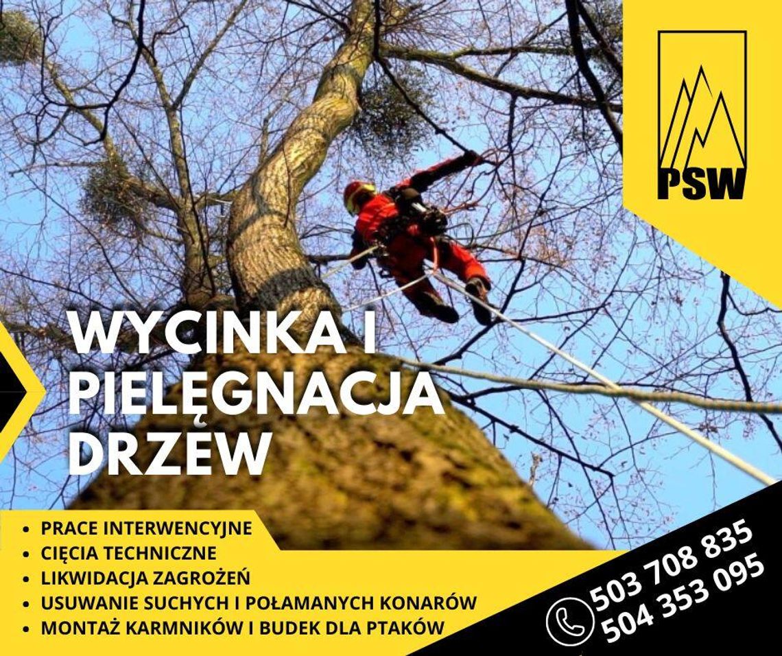 Wycinka drzew , prace alpinistyczne