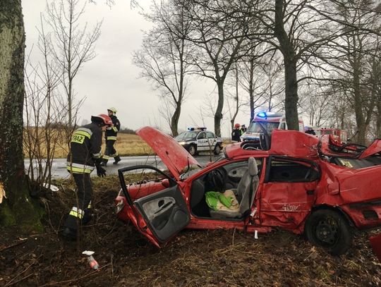Wola Lipowska, samochód uderzył w drzewo