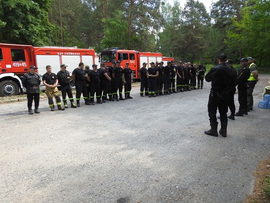Strażacy ćwiczyli gaszenie pożaru lasu