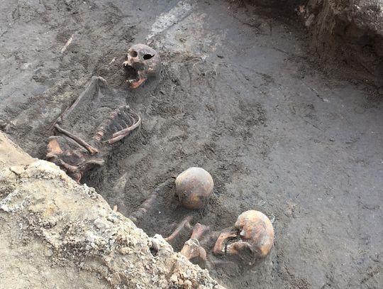 Ludzkie szczątki znalezione w czasie remontu drogi