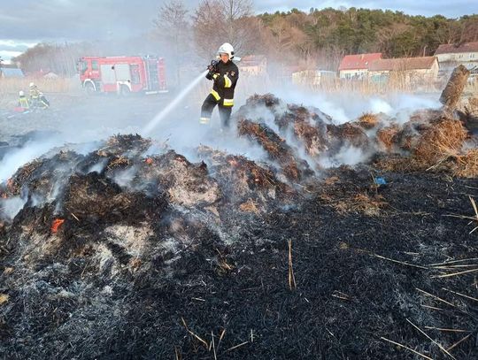 Pożar trzcinowiska we Fromborku