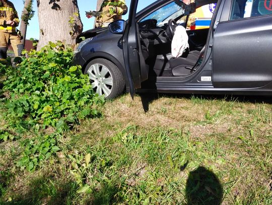Peugeot uderzył w drzewo