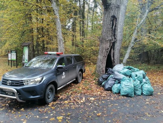 Sprzątanie brzegów Jeziora Pierzchalskiego i rzeki Pasłęki