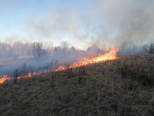 Baranówka, pożar traw