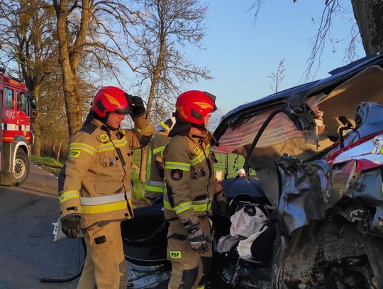 Citroen roztrzaskał się na drzewie