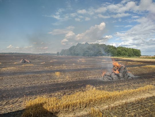 Pożar na polu w Lipowinie