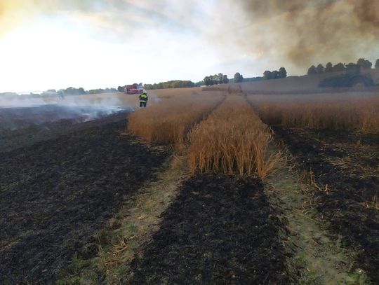 Pożar rżyska i zboża, Wyszkowo