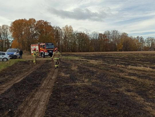 Pożar traw i leśnej ściółki