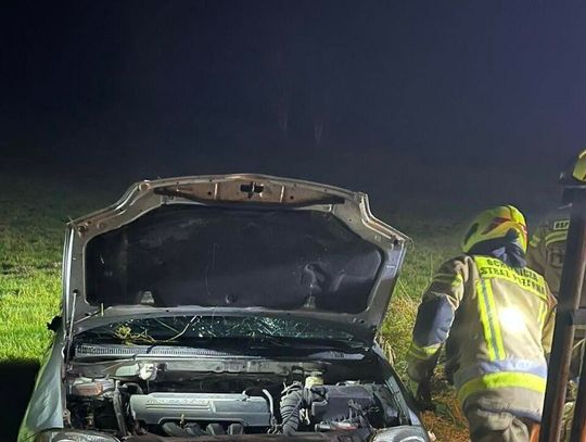 Dachowanie, Pluty Dachowanie, Pluty