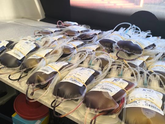 Grudniowa zbiórka krwi Grudniowa zbiórka krwi