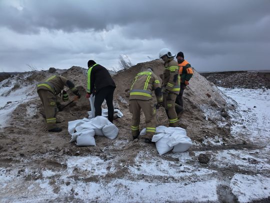 Cofka na Zalewie Wiślanym Cofka na Zalewie Wiślanym