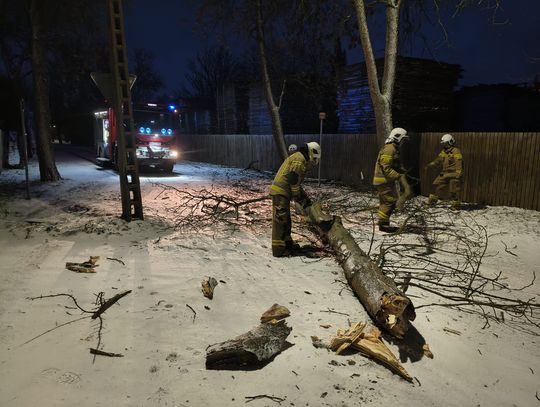 Przewrócone drzewa na drogach Przewrócone drzewa na drogach