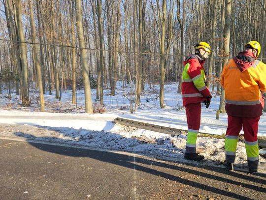 Uderzył w słup energetyczny
