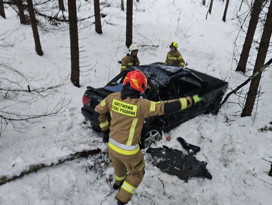 Kierowca Audi uderzył w drzewo