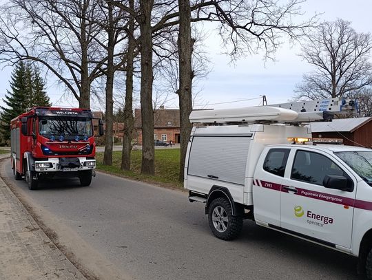 Powalone drzewo, zniszczona linia energetyczna i samochód