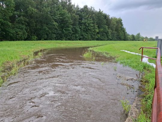 Lokalne podtopienia i powalone drzewa
