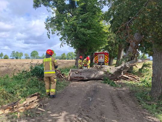 Pożar na farmie fotowoltaiki i inne interwencje