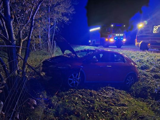 Honda wypadła z drogi